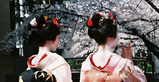 geisha kyoto sakura